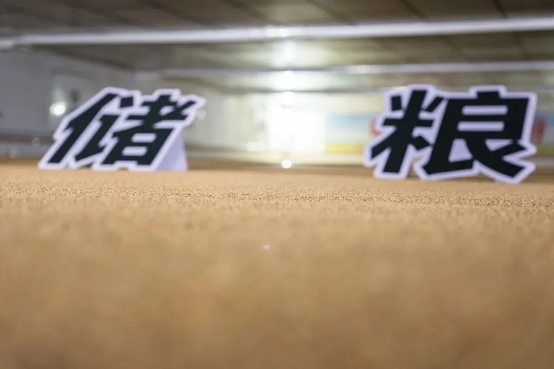 中央储备粮长沙直属库有限公司的一处粮仓里储藏了稻谷。